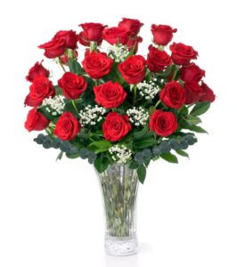 2 Dozen Long Stem Red Roses