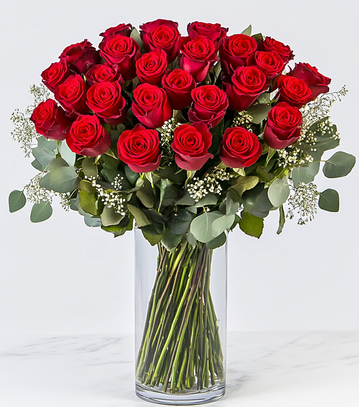 A Stunning Arrangement of Two Dozen Red Roses