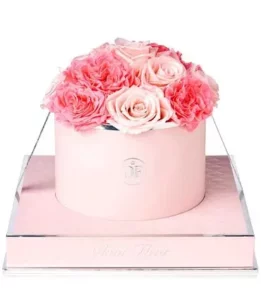 Rose Round Pink Van Gogh and Baby Pink
