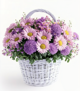 Daisy Delight