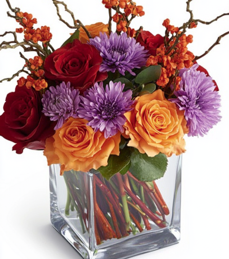 Vibrant Violets