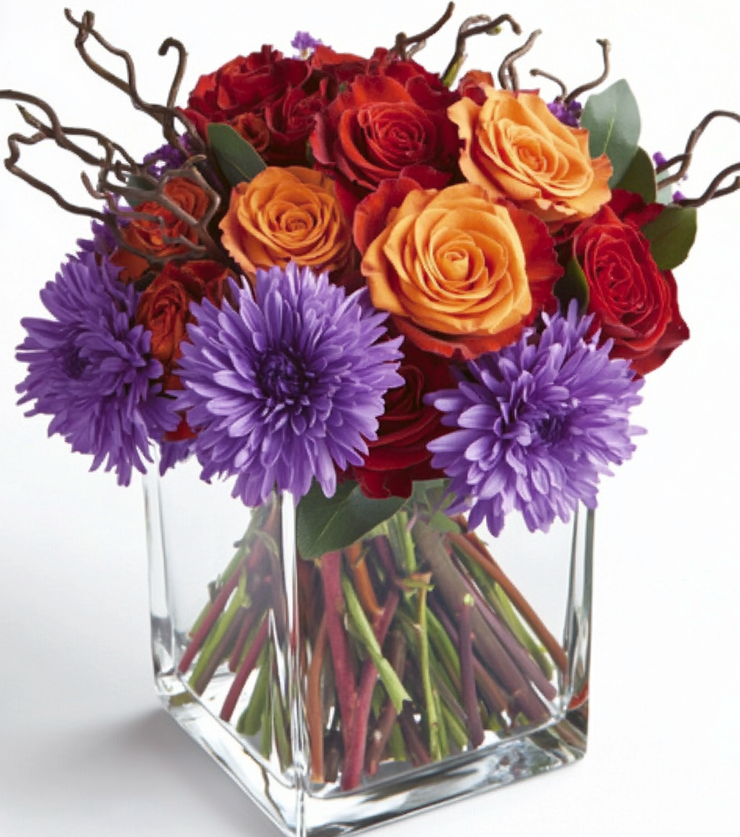 Vibrant Violets